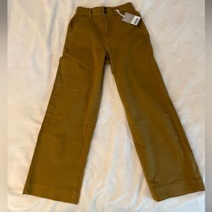 Everlane Organic Cotton Wide-Leg Pants in the color Tapenade size 6